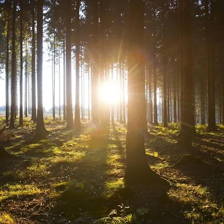 Salweyblick Modern Retreat * Niedersalwey