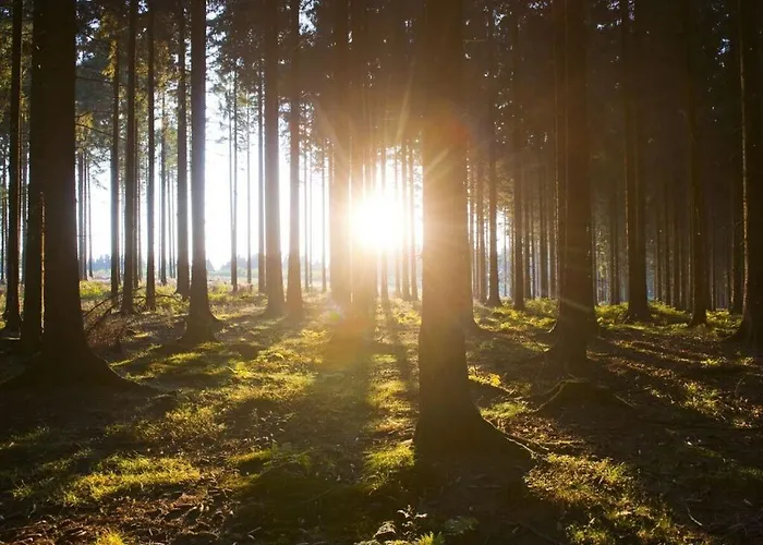 Salweyblick Modern Retreat * Niedersalwey